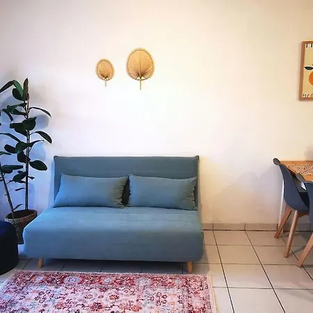 Grand Studio Lumineux Et Sa Terrasse Au Calme Toulouse Exterior foto