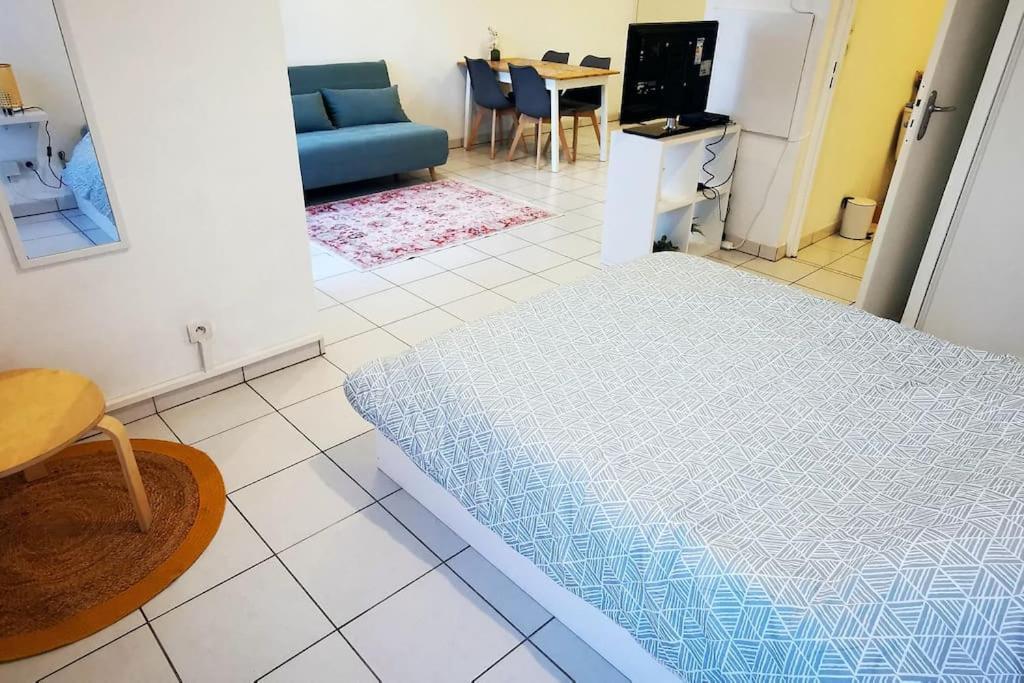 Apartment Grand Lumineux Et Sa Terrasse Au Calme Toulouse