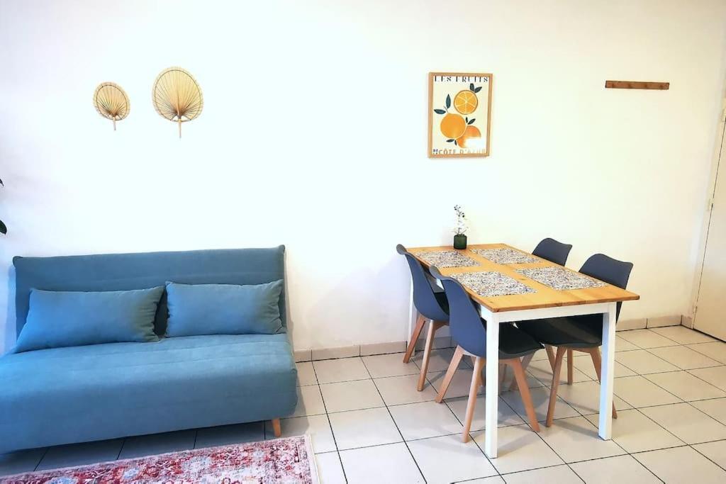 Grand Lumineux Et Sa Terrasse Au Calme Appartamento Tolosa